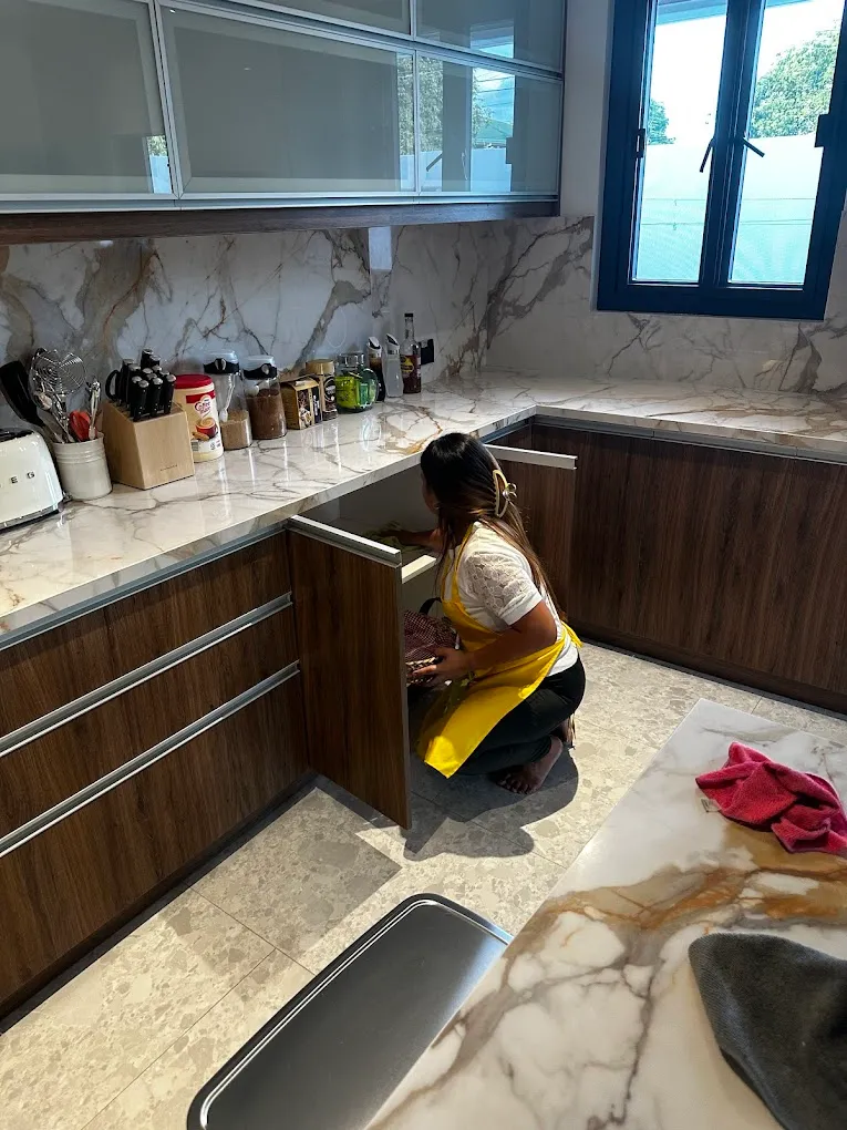 Lemon Fresh Cleaning PH - Maid Cleaning