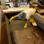 Lemon Fresh Cleaning PH, Reoccurring Cleaning Service for a residential.