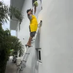 Lemon Fresh Cleaning PH High Window Cleaning