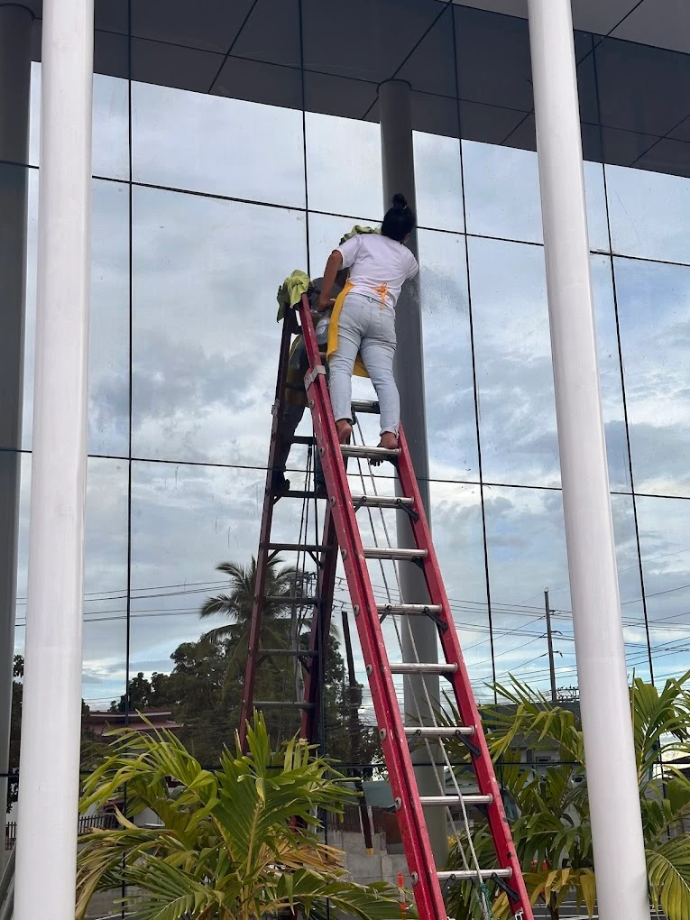 Lemon Fresh Cleaning PH Team, Cleaning High Class wall of a Commercial Building